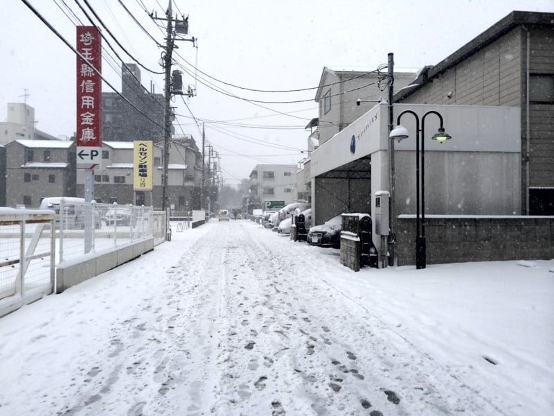 Snow02.jpg