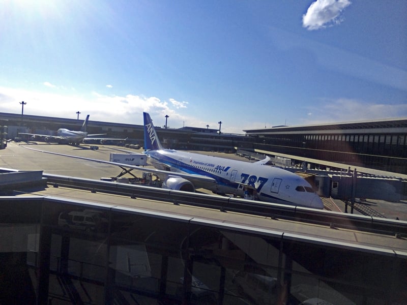 787.jpg