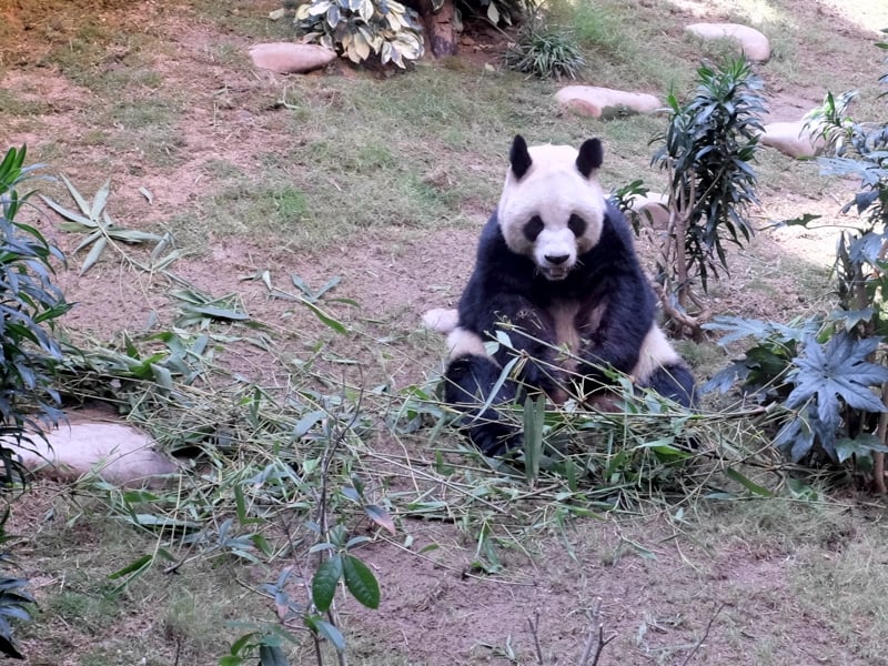 HK003.jpg