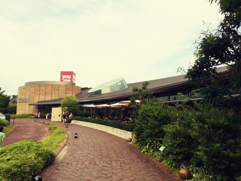 Library01.jpg
