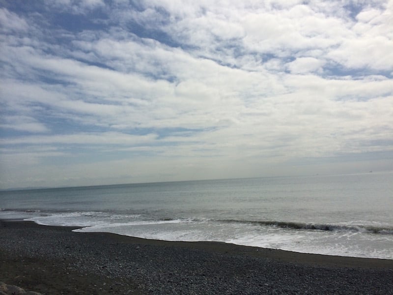 IMG1.jpg