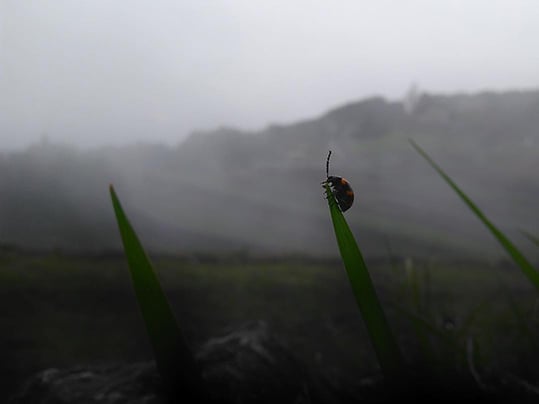 20160426-blog02.jpg