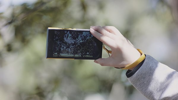 0601blog06.jpg