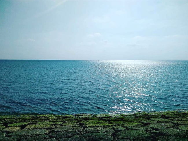 20160610_photocontest_04.jpg