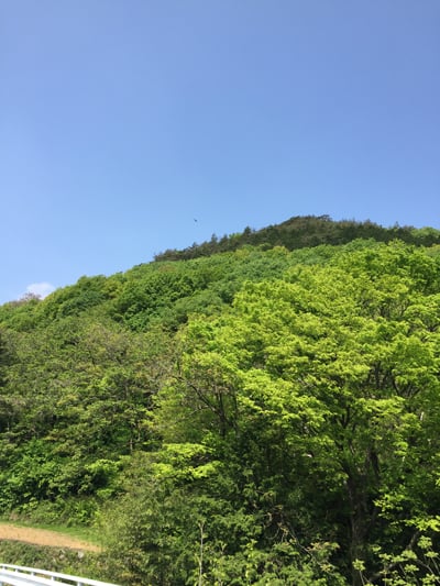 20160627_2.jpg