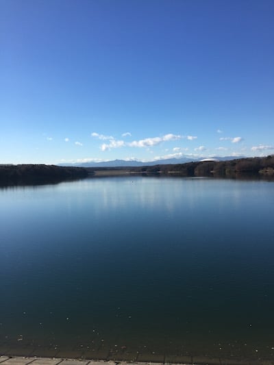 2017010605.jpg