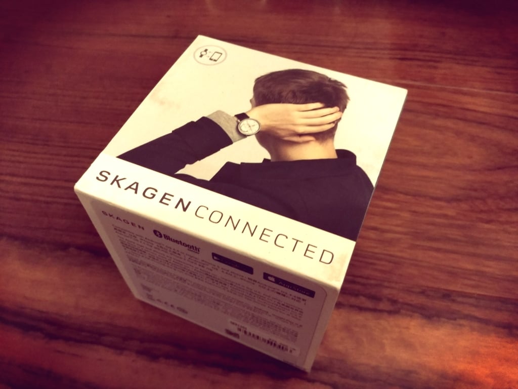 SKAGEN01.jpg