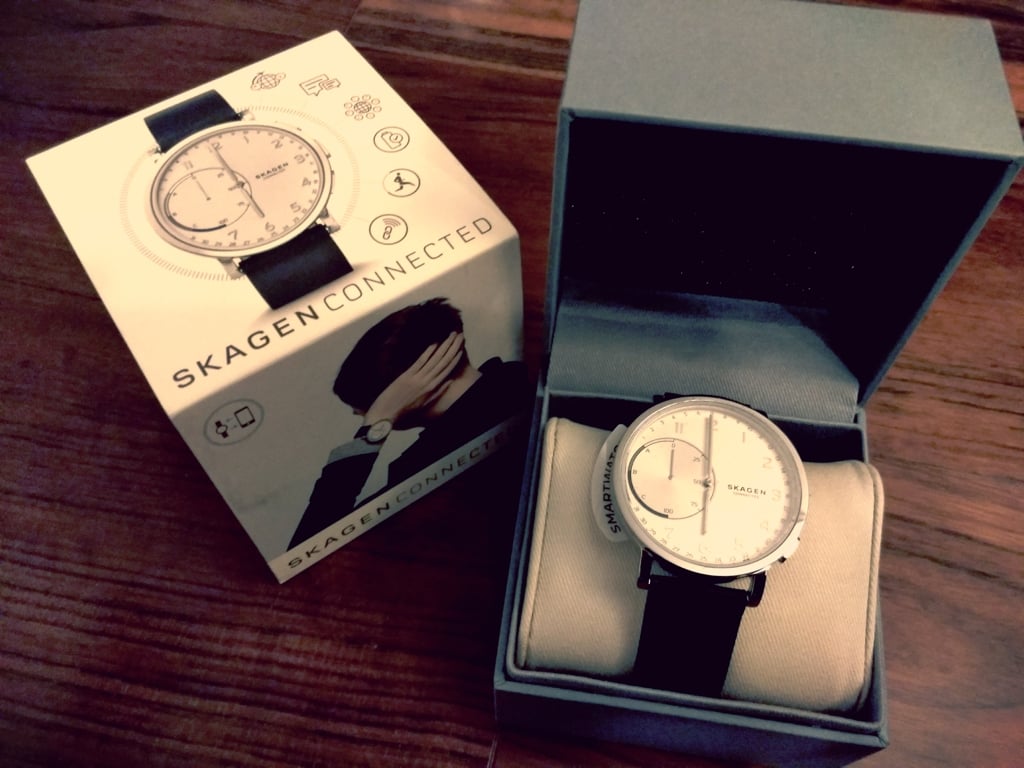 SKAGEN02.jpg