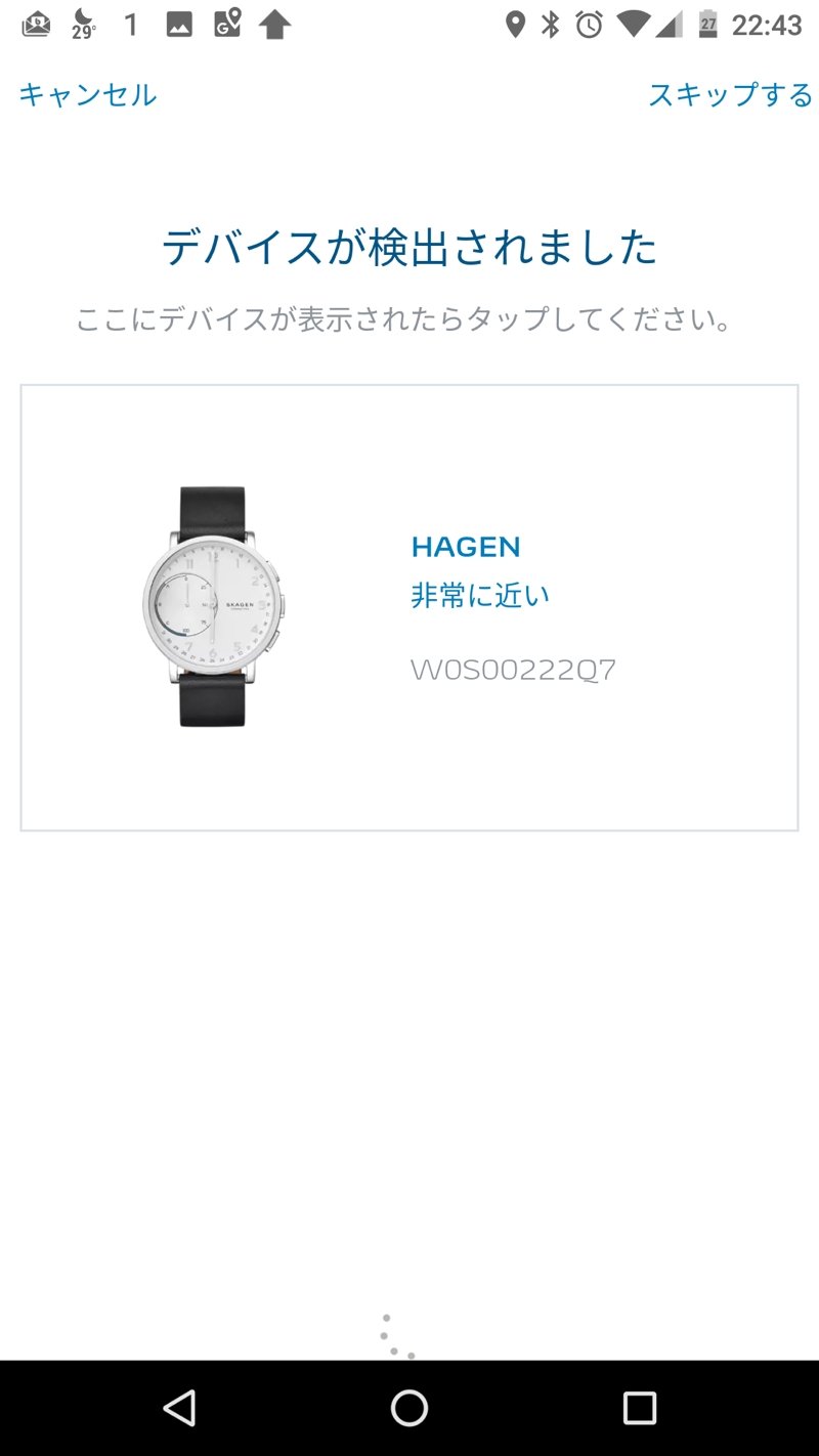 SKAGEN05.jpg