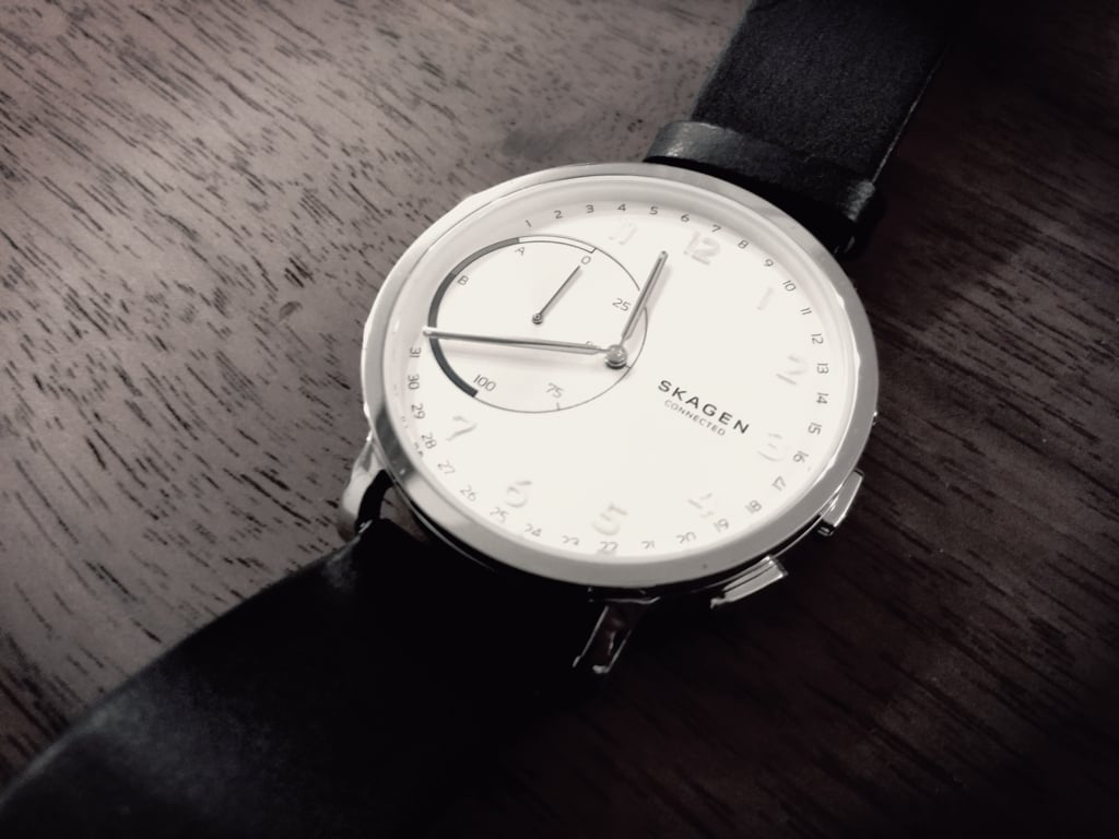 SKAGEN06.jpg
