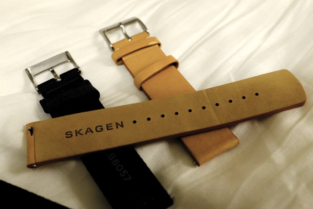 SKAGEN05.jpg