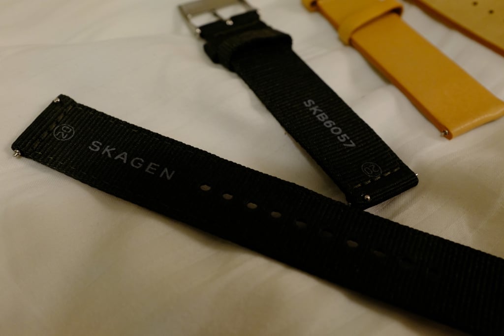 SKAGEN06.jpg