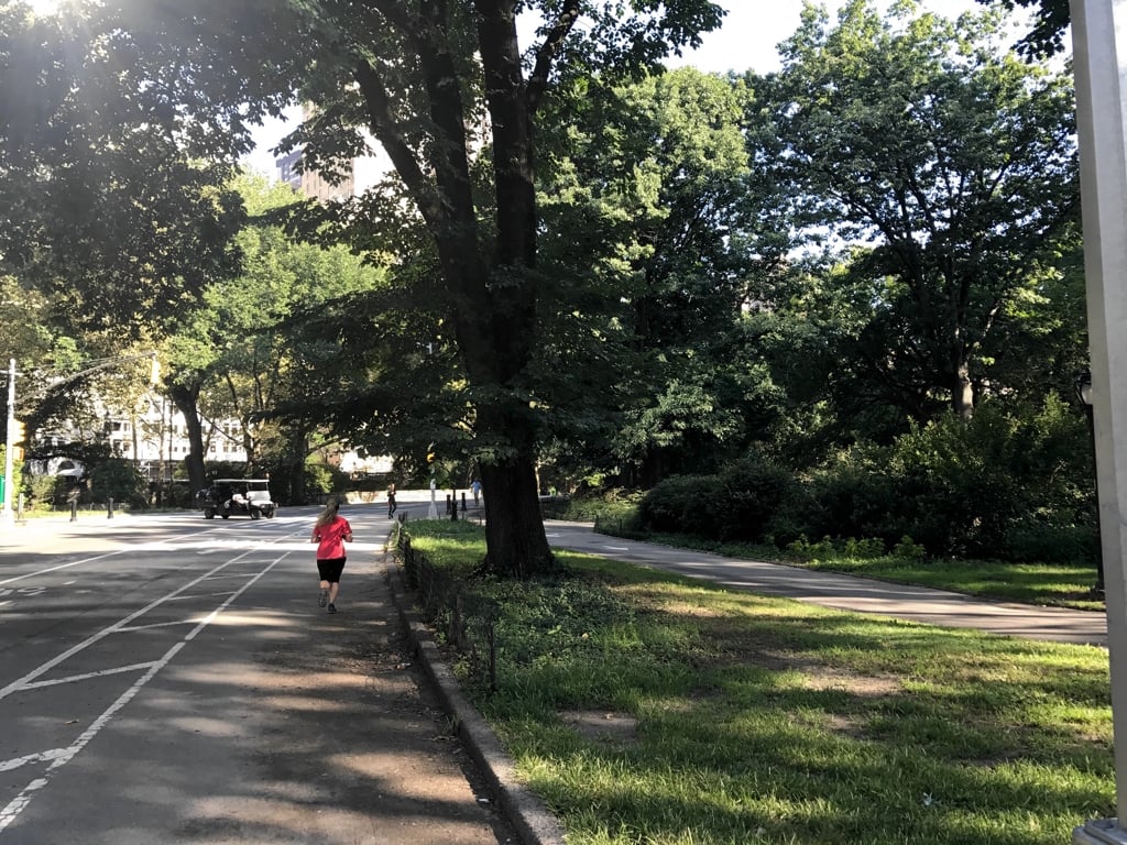 RUN03.jpg