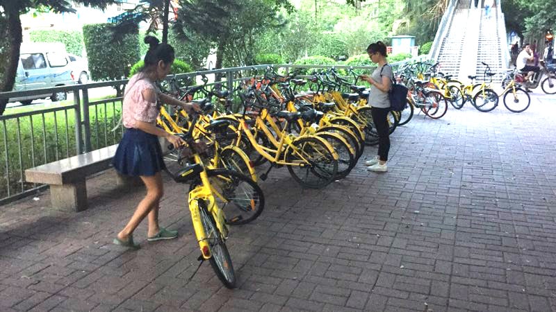 bikerental01.jpg