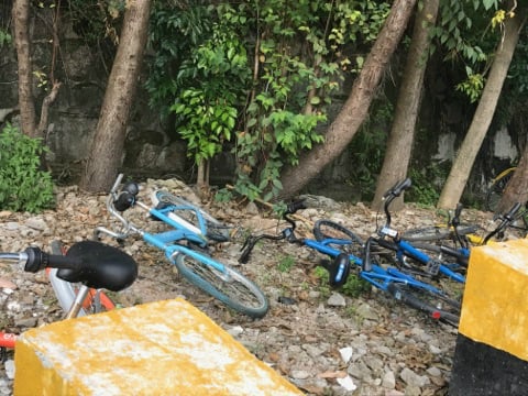 bikerental05.jpg