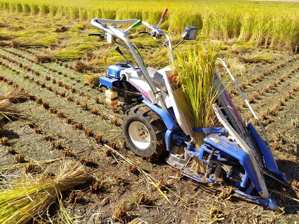 Farmer03.jpg