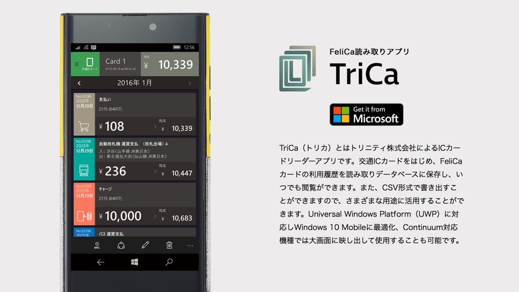 TriCa01.jpg