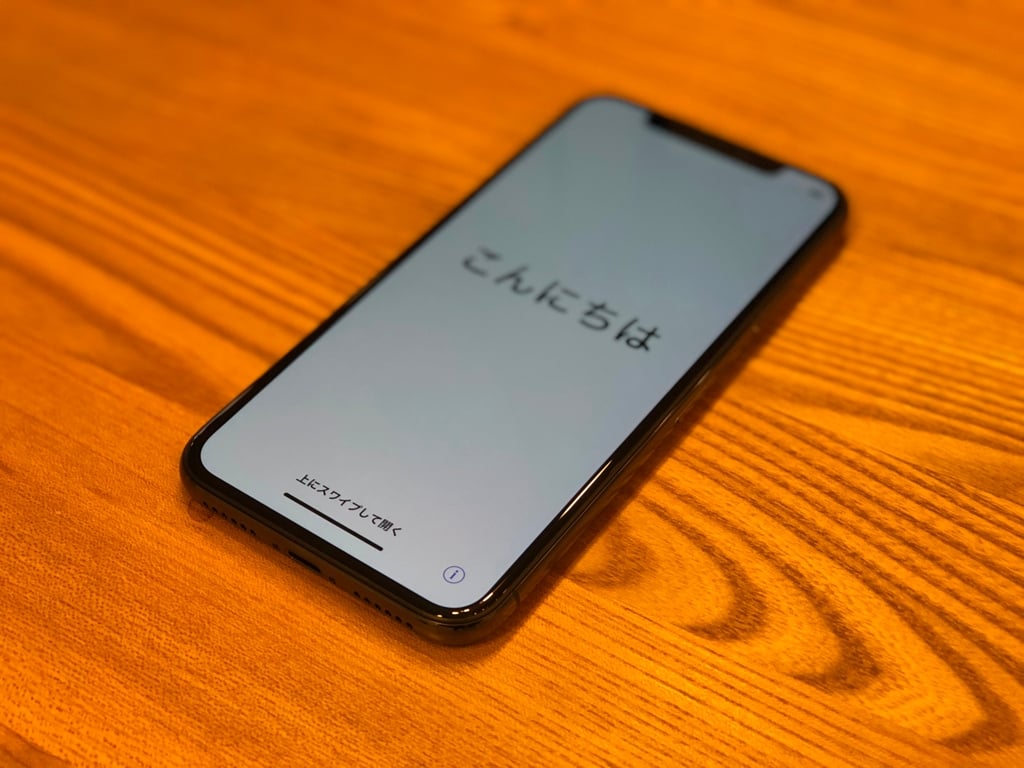 iPhoneX02.jpg