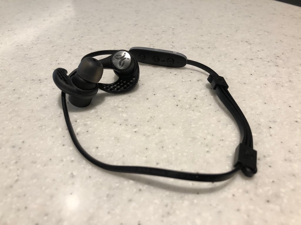 JayBird01.jpg