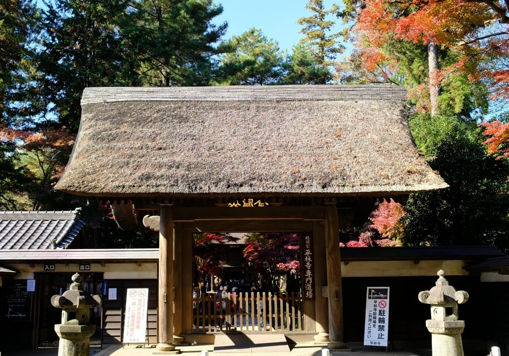 AutumnLeaves01.jpg