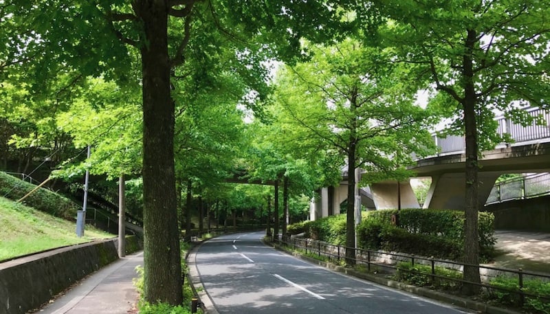 road_01.jpg