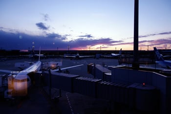 ANA01.jpg