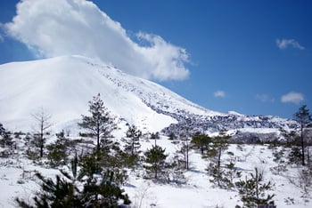 Snowboard01.jpg