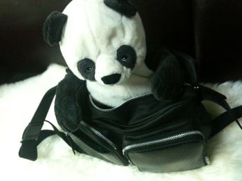 iPadBag06.jpg