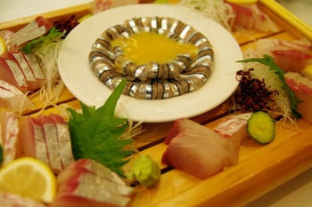 AUGMkagoshima02.jpg