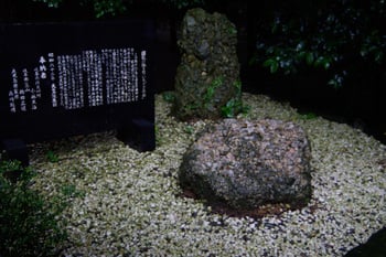 AUGMkagoshima14.jpg