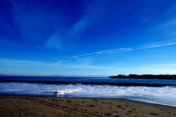 SF01.jpg