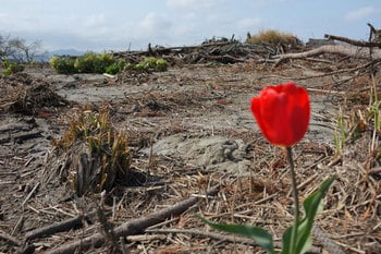 Fukushima09.jpg