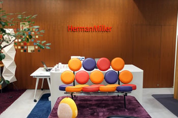 Herman01.jpg