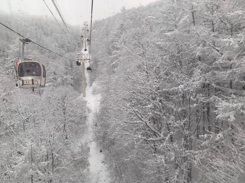20210419_snow_.jpg