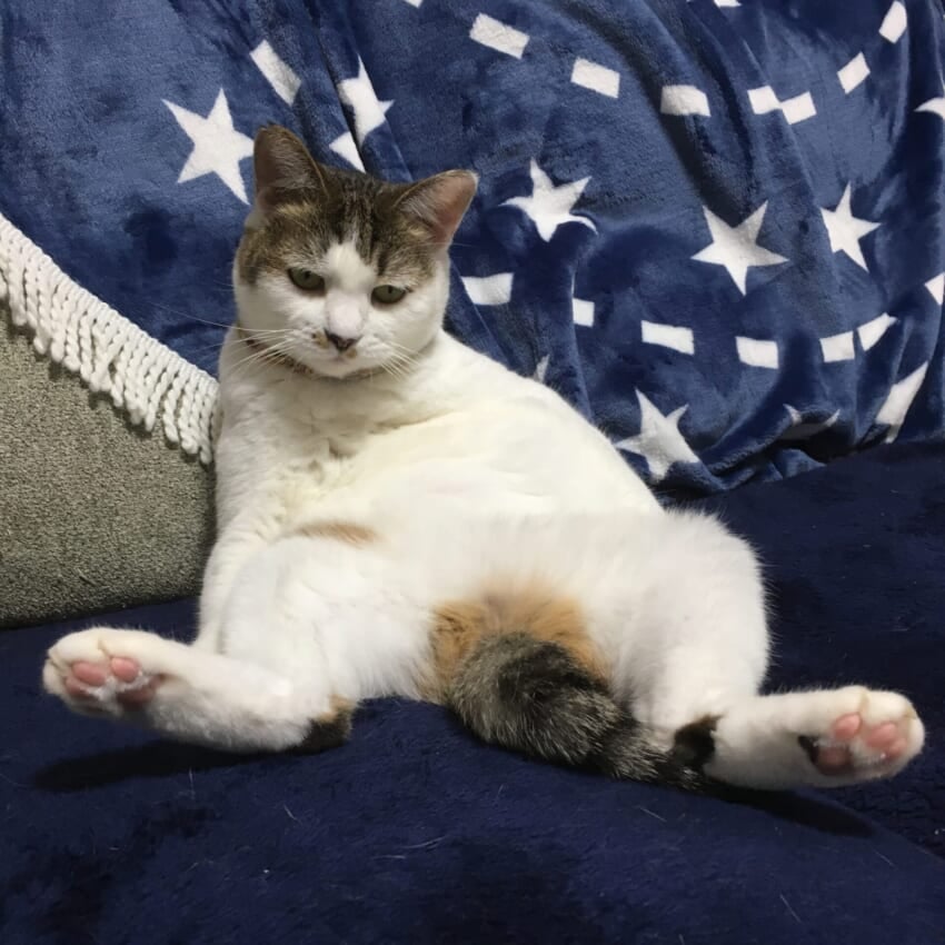 恵ちゃん