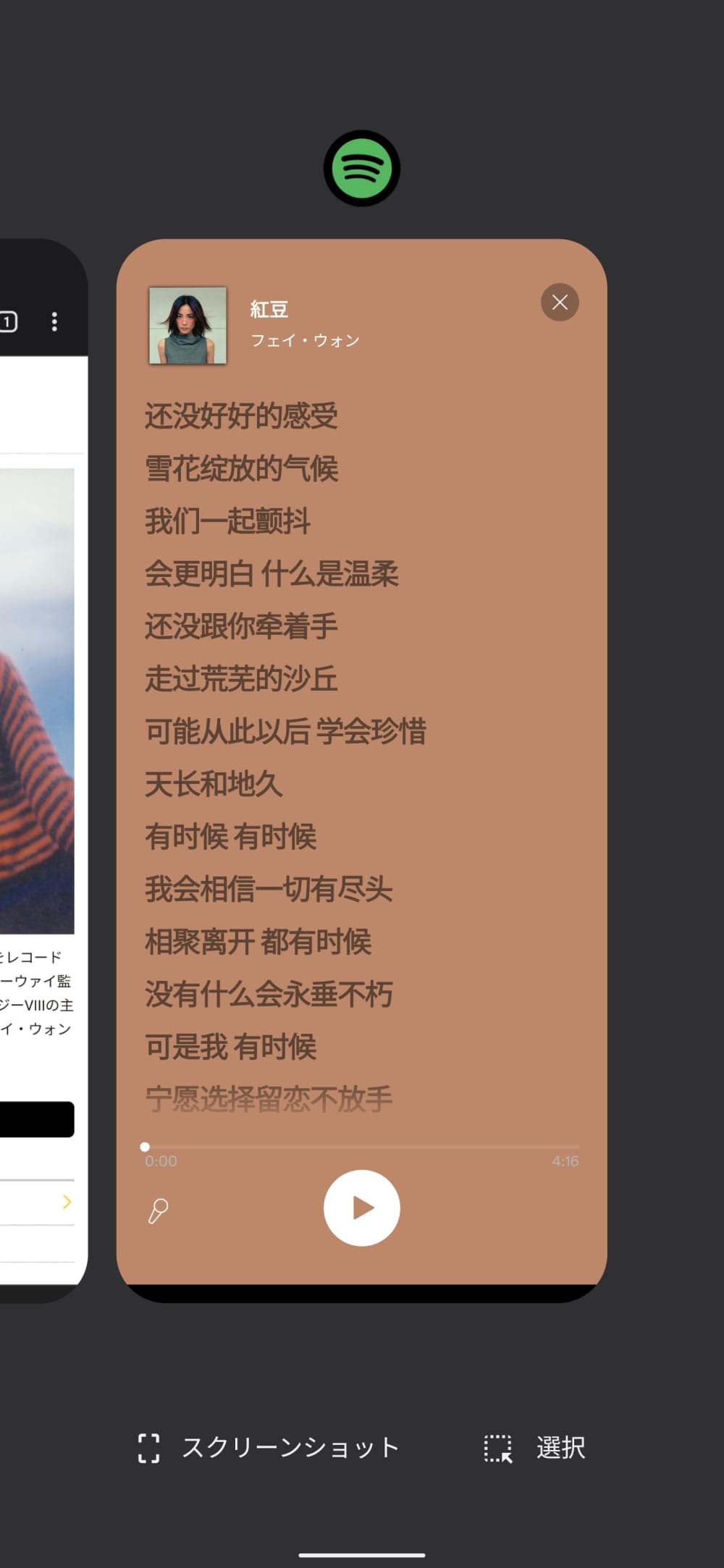 Fei_new_0010.png