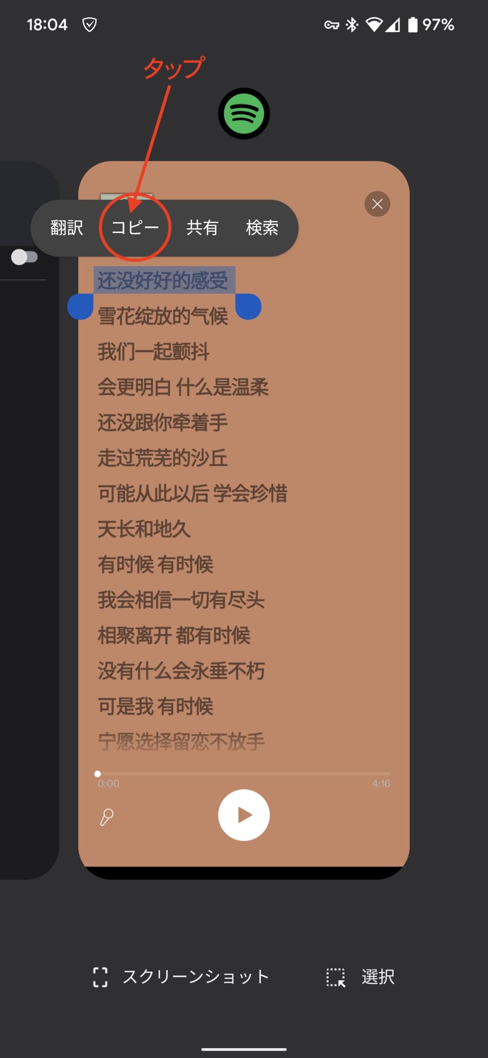 Fei_new_0011.png