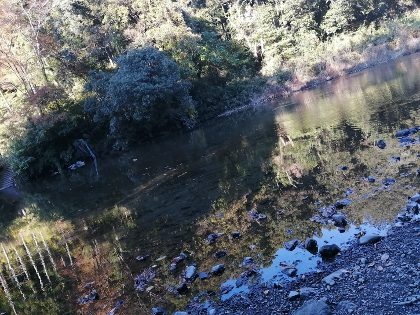 Img_20211114_140850.png