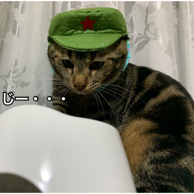 0c3f5ccb-5f38-4e1c-8b8d-0cc6d11f4a27.jpeg