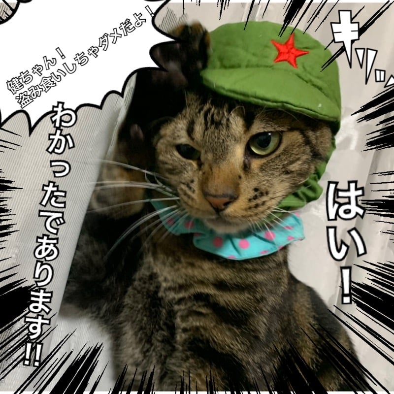 328fcceb-9dc4-492c-b2aa-7b690cd46965.jpeg