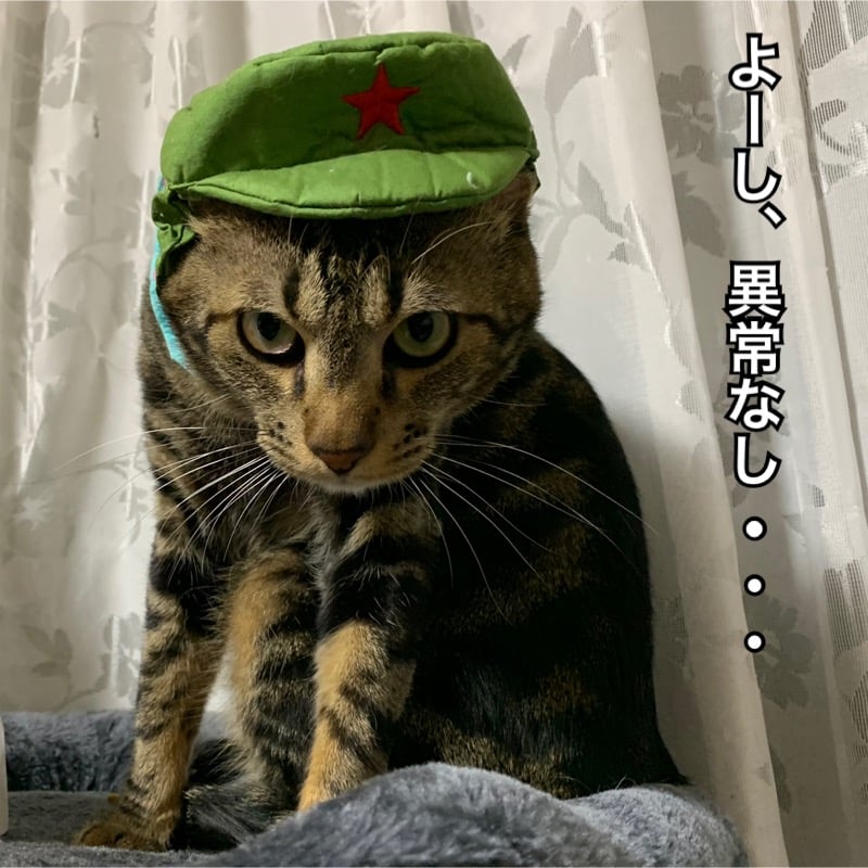 66cbb3c6-1e47-425a-bab3-663dbf7263f8.jpeg