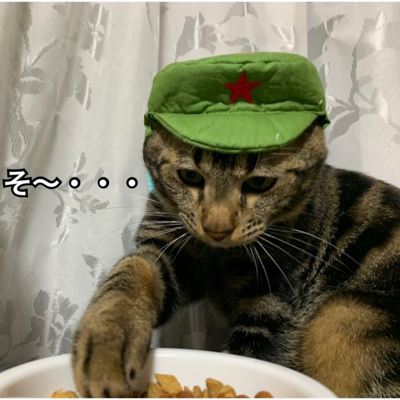 812406e5-a366-4bf6-a377-26f45da7ab2d.jpeg