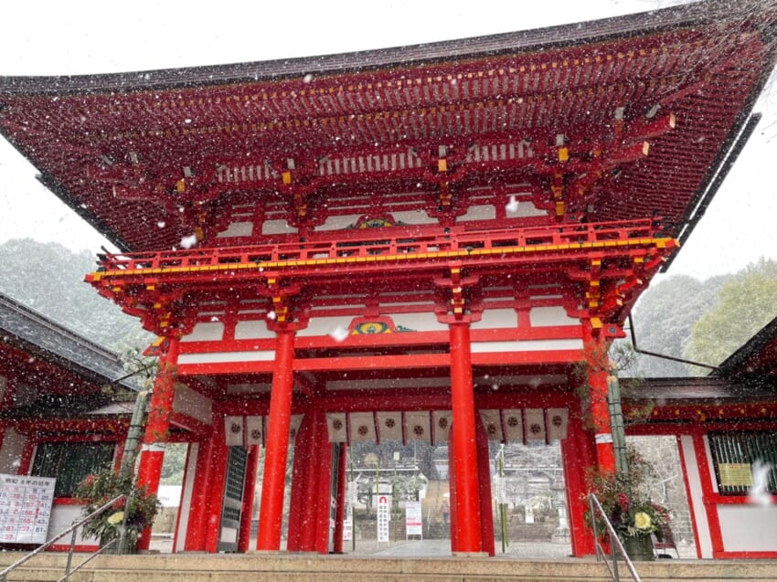 20211005_tomblog7.jpg