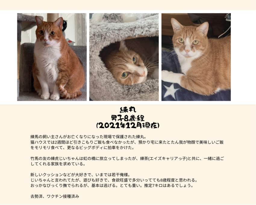 紹介文には7キロとあるが、実際には8キロあった練丸。逃げるけど触れます。捕獲はたも網で。