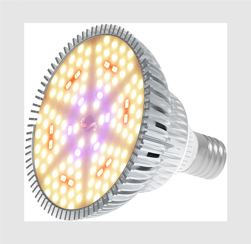 Light.png