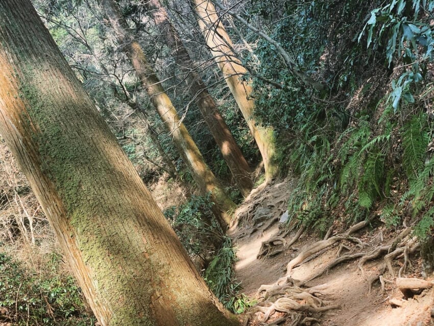 Mountain.jpg