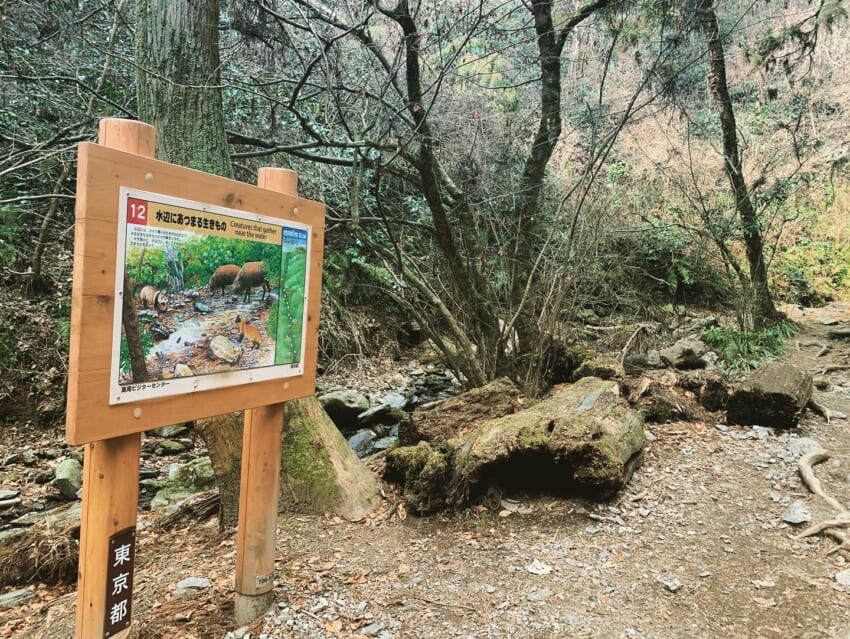 Mountain1.jpg