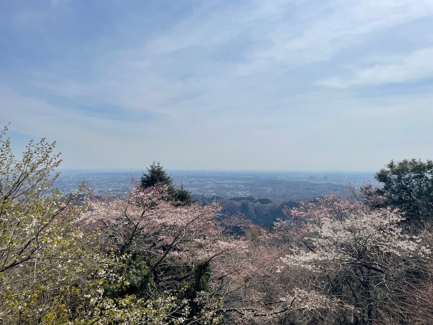 03_scenary.jpg