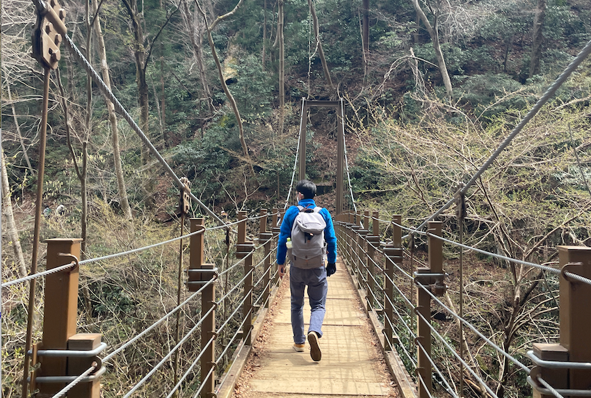 06_bridge.png