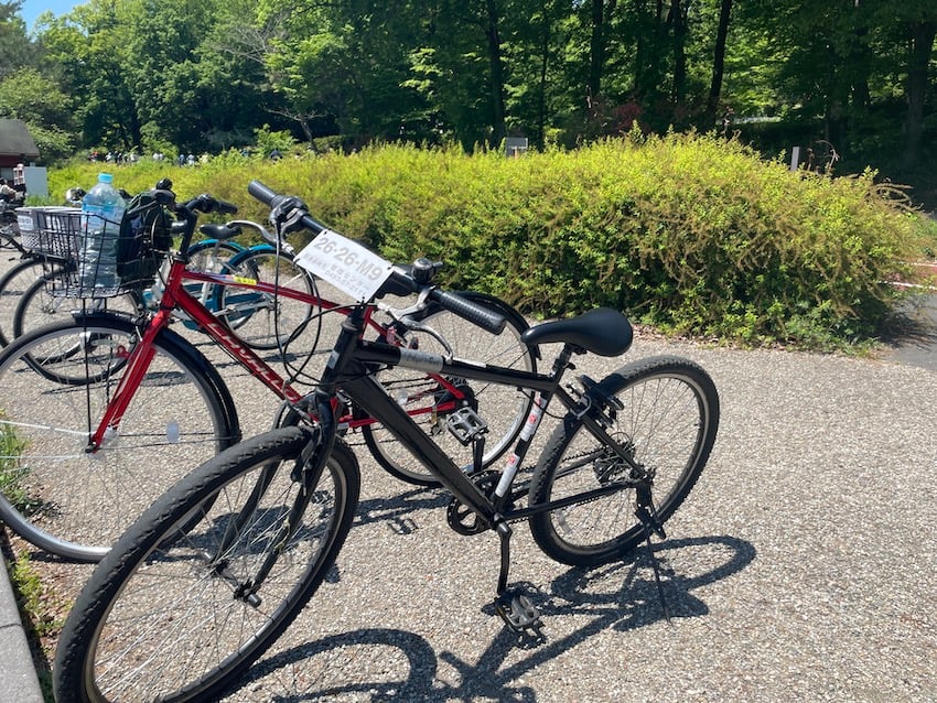 02_bike.jpg